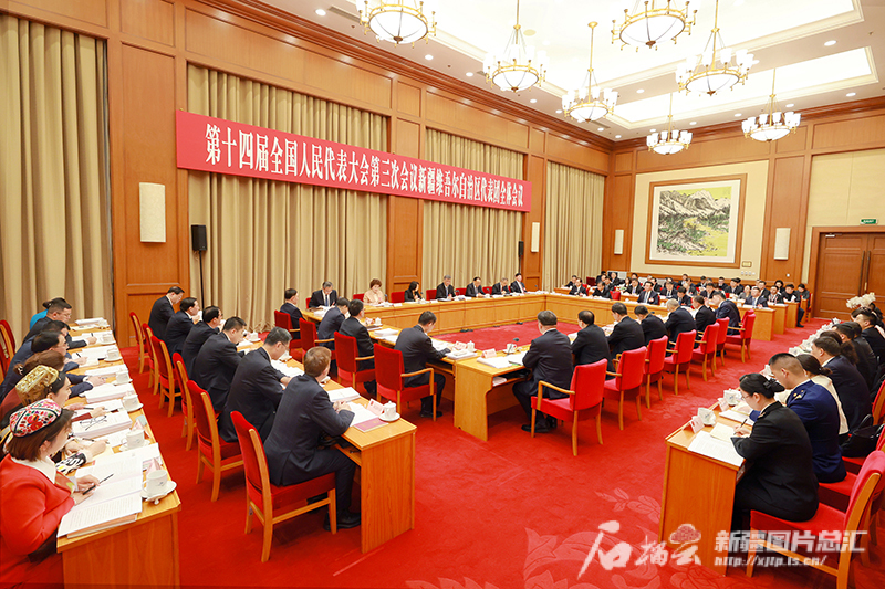 新疆代表团举行全体会议审议政府工作报告