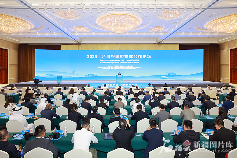 2025上合组织国家媒体合作论坛在乌鲁木齐举行